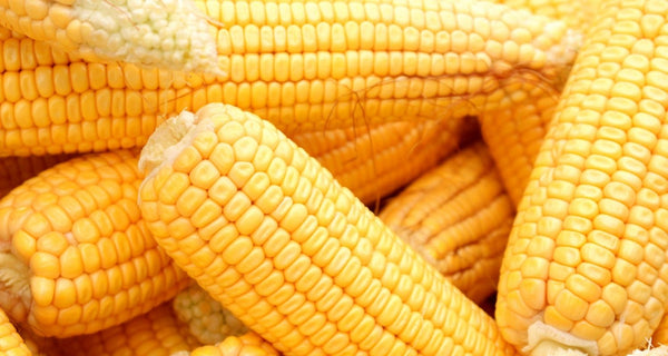 7 Ways Corn Can Add Zest On Your Ramen